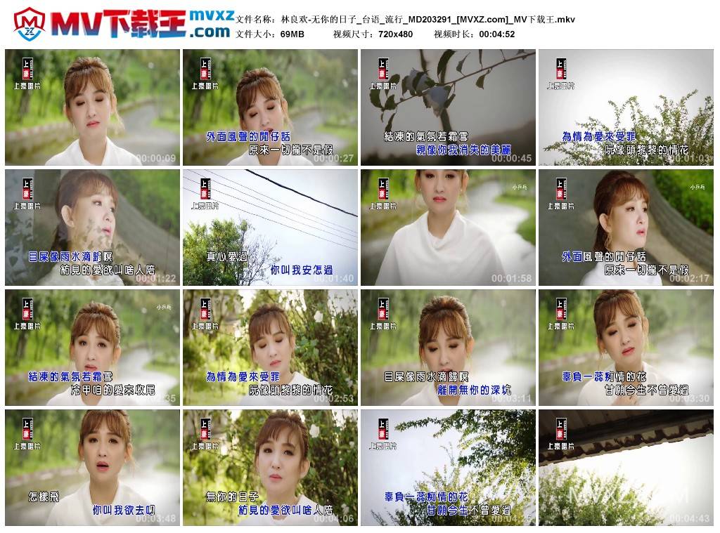 林良欢-无你的日子_台语_流行_MD203291